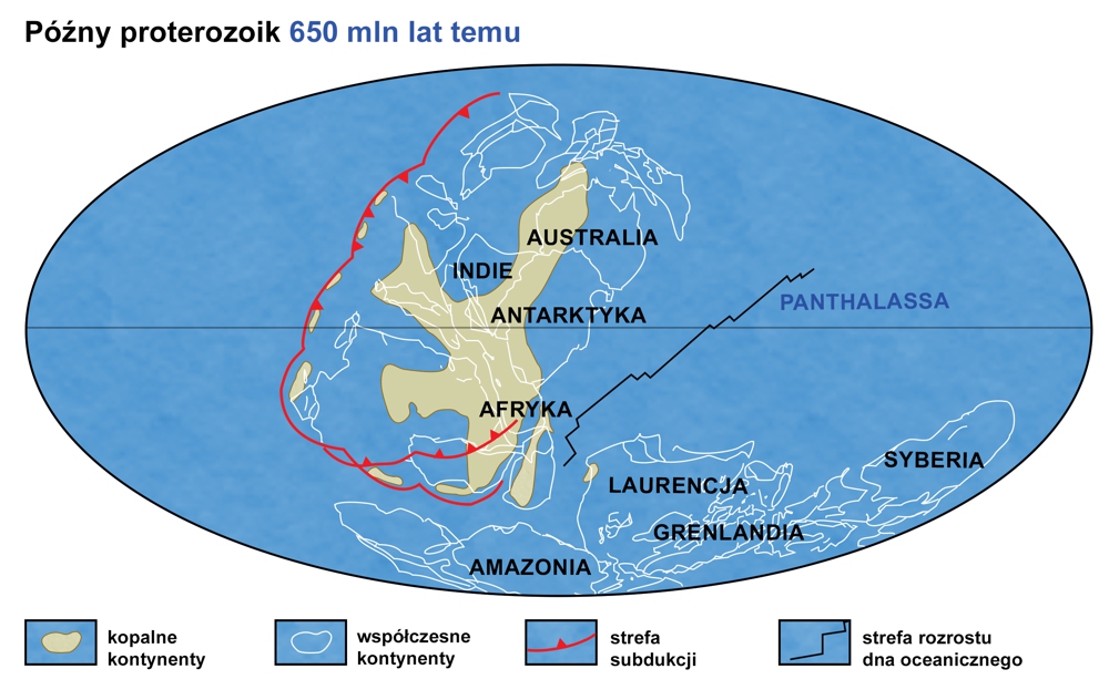 Układ kontynentów w późnym proterozoiku około 650 mln lat temu