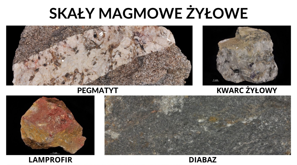 Przykłady skał żyłowych: pegmatyt, kwarc żyłowy, lamprofir i diabaz