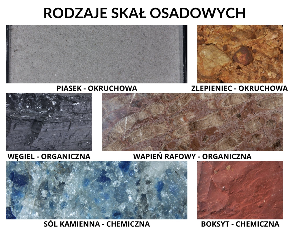 Rodzaje skał osadowych: okruchowe (piasek, zlepieniec), organiczne (węgiel kamienny, wapień rafowy) i chemiczne (sól, boksyt)