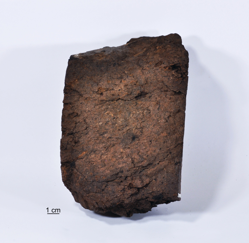 Przykład węgla brunatnego