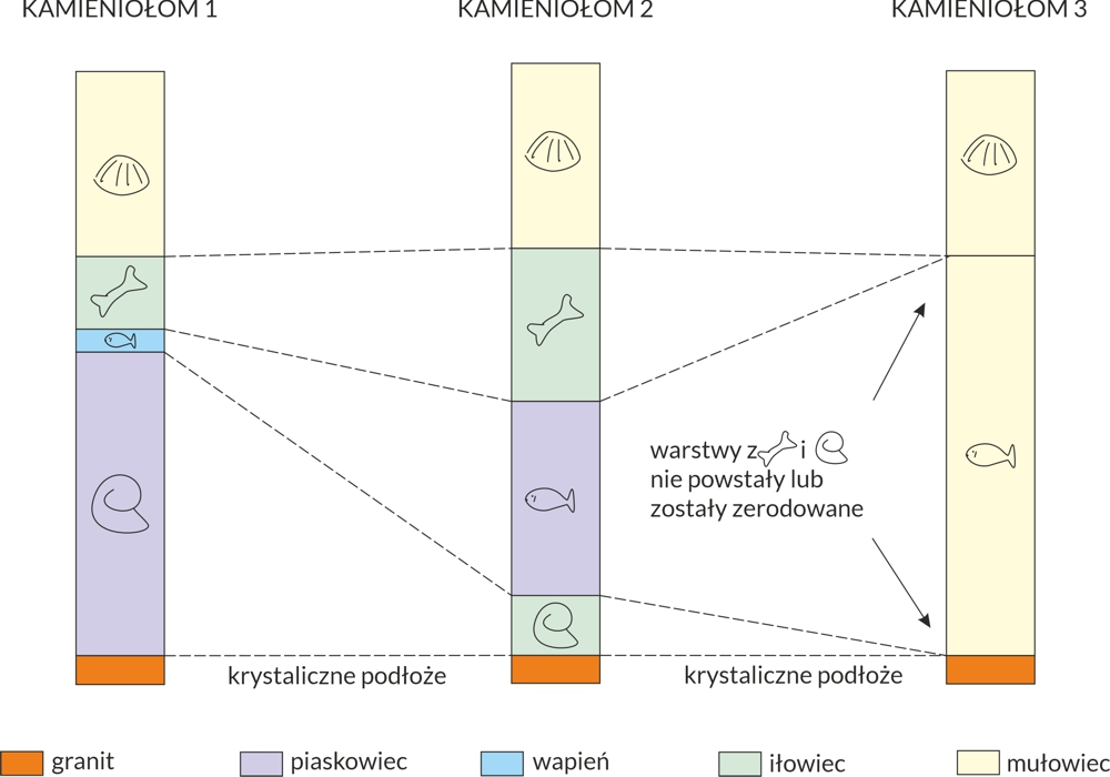 Uproszczony przykład korelacji skał z trzech miejsc, wydatowanych na podstawie skamieniałości