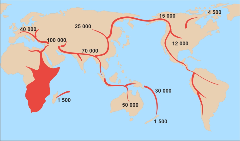 Kierunki i czasy migracji Homo sapiens
