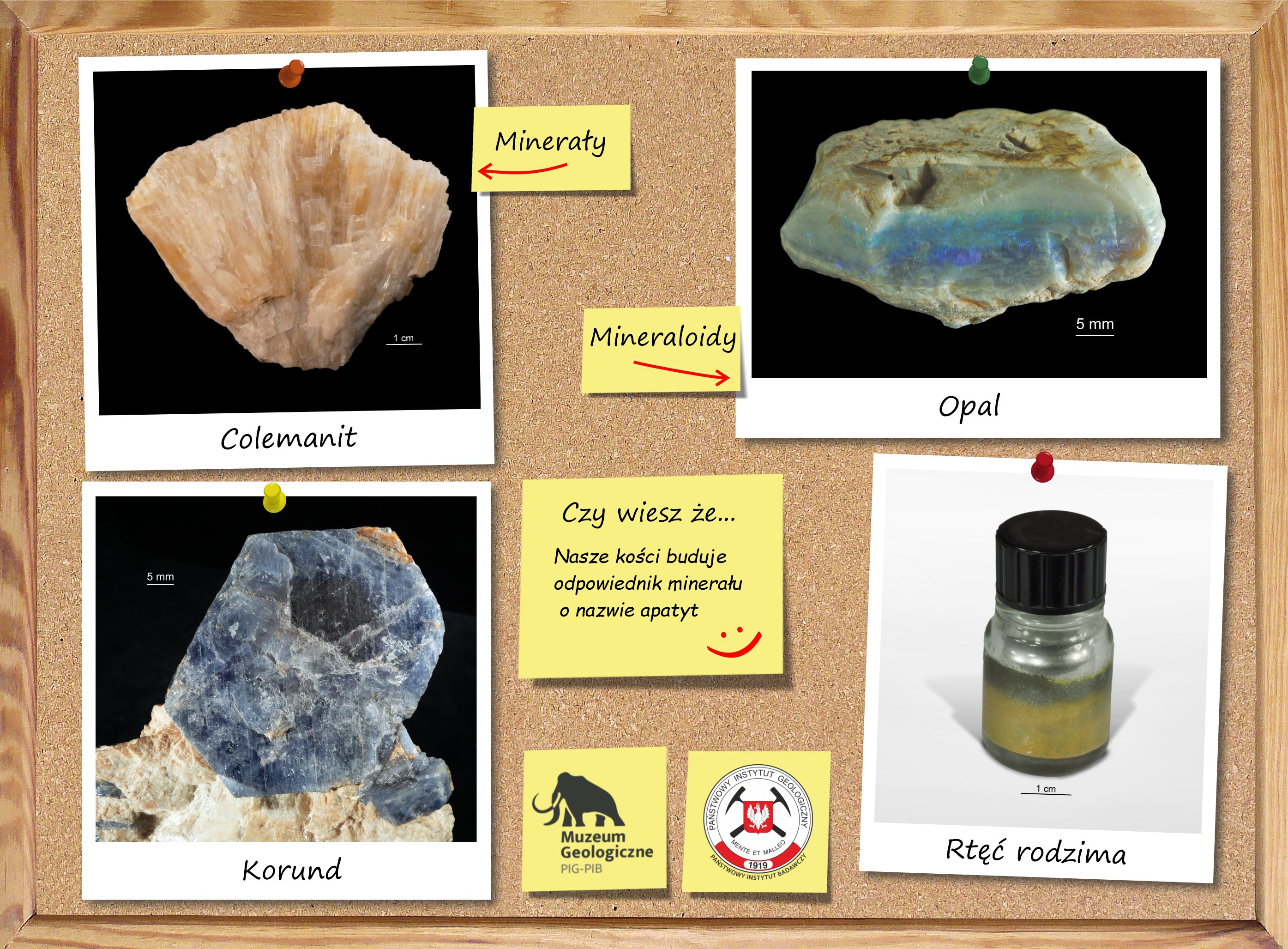 Przykłady minerałów oraz mineraloidów