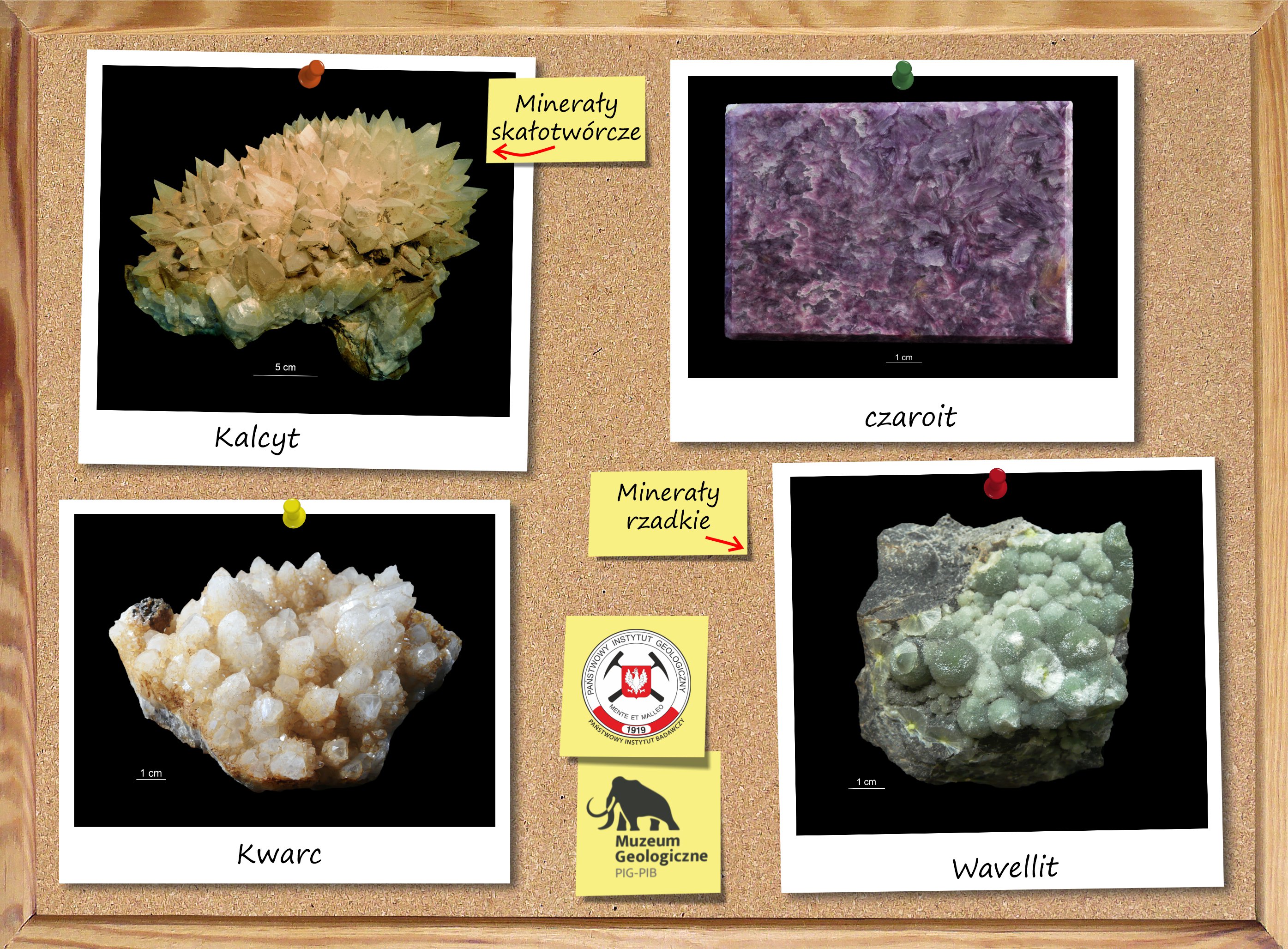 Przykłady minerałów skałotwórczych oraz minerałów rzadkich.