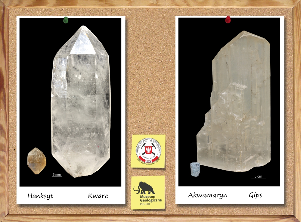 Porównanie wielkości kryształów minerałów: hanksytu, kwarcu, akwamarynu i gipsu